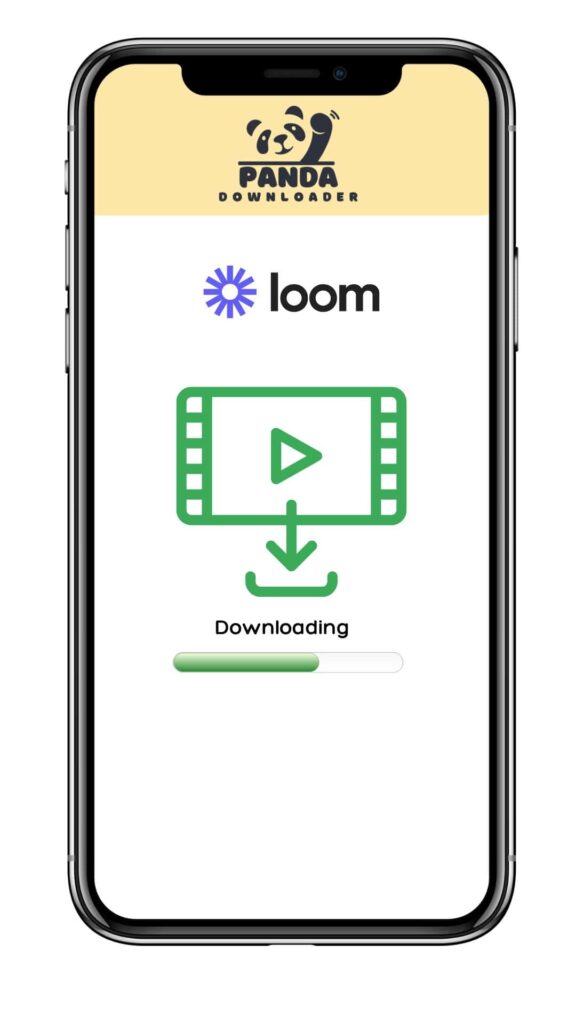 loom video downloader